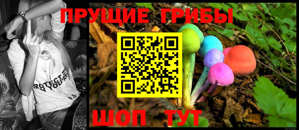 купить наркотик  Галлюциногенные грибы Magic Shrooms  Вход с VPN  Дербент 