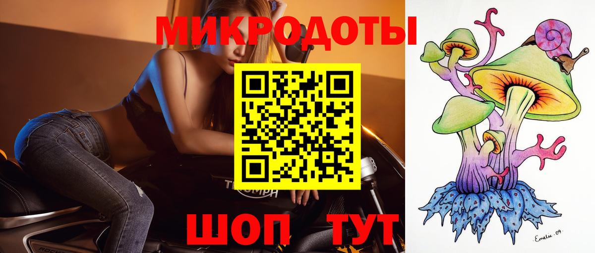 Псилоцибиновые грибы прущие грибы Дербент